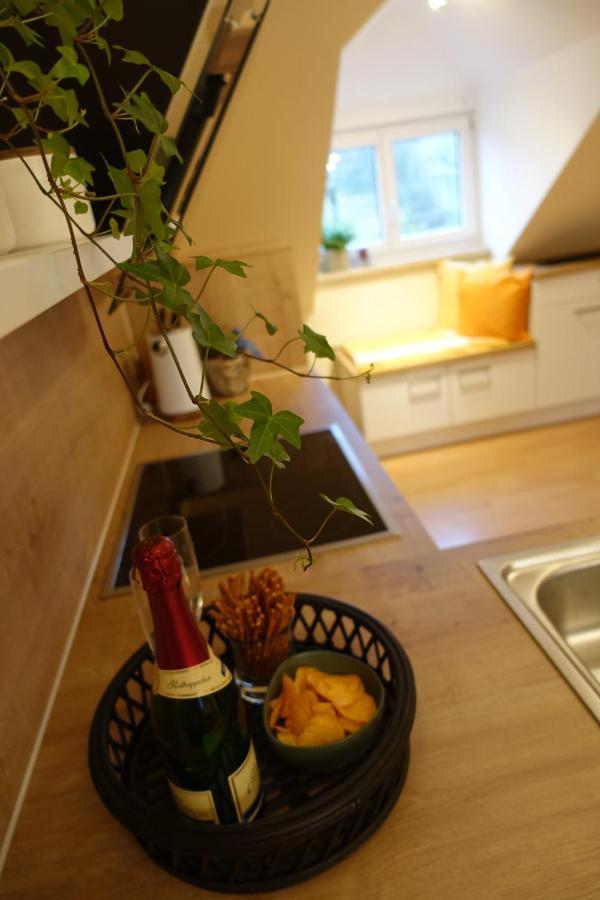 Ferienwohnung Landidyll ザールブルク エクステリア 写真